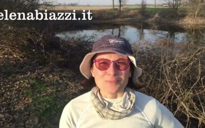 Quando arriva la primavera. 3-meditazione luce/fumo nero