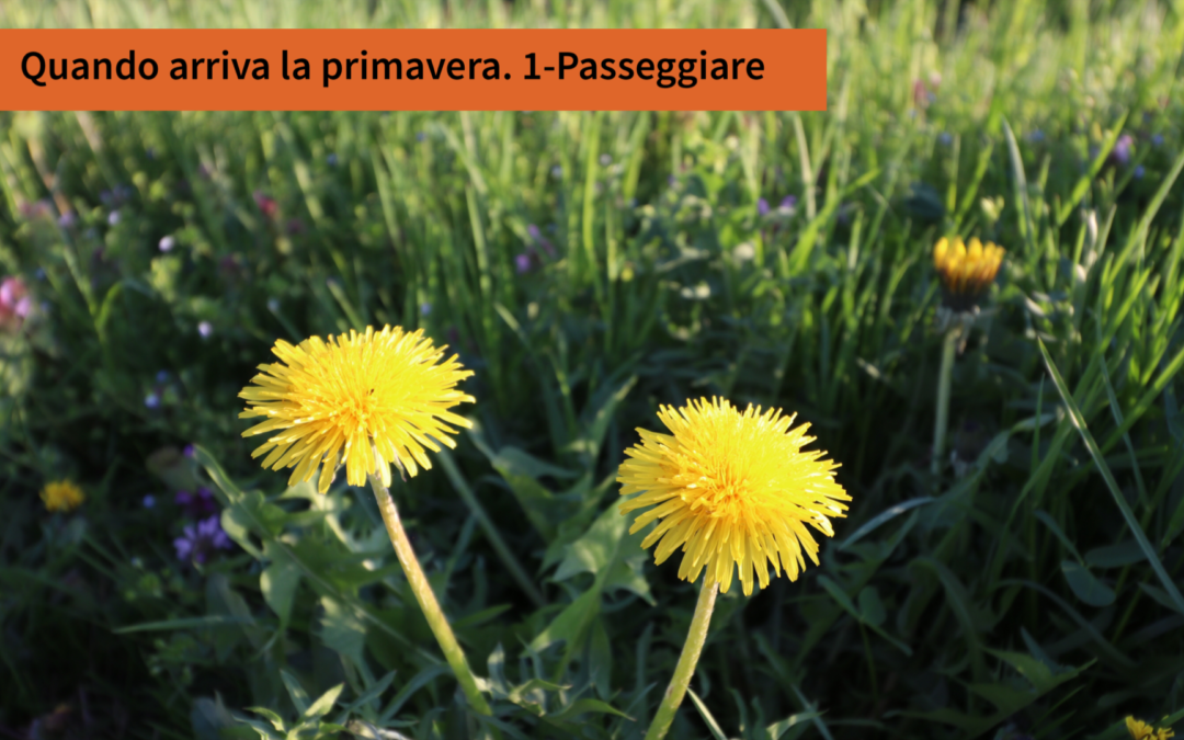 Quando arriva la primavera. 1-passeggiare