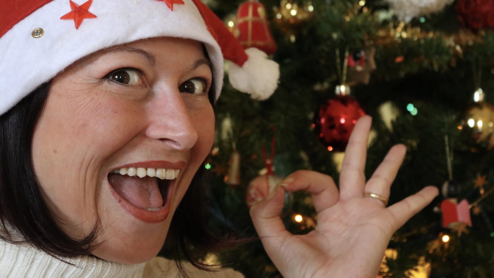 elenabiazzi.it buone feste Elena Biazzi feste
