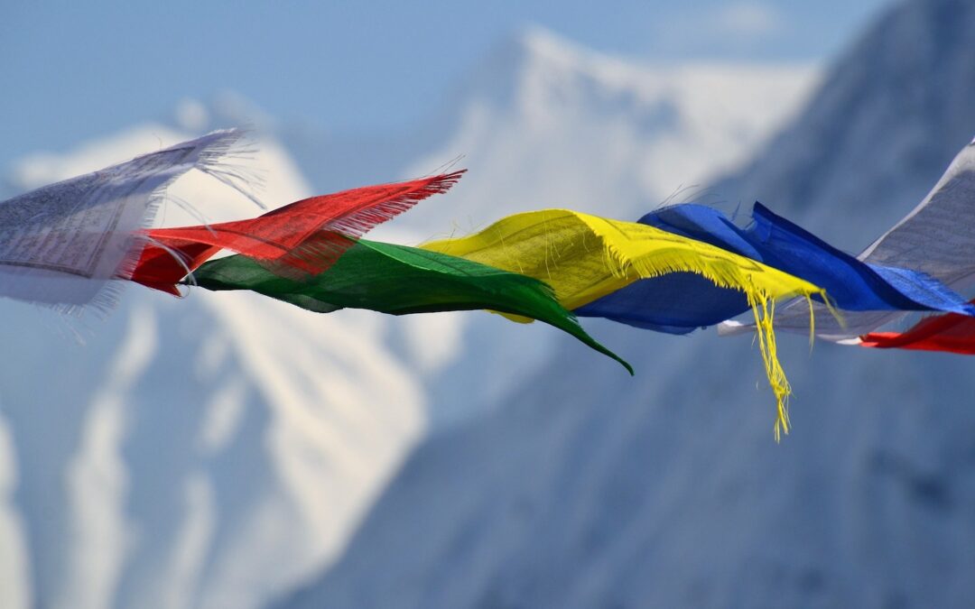 5 Tibetani: spunto per una pratica semplificata e completa