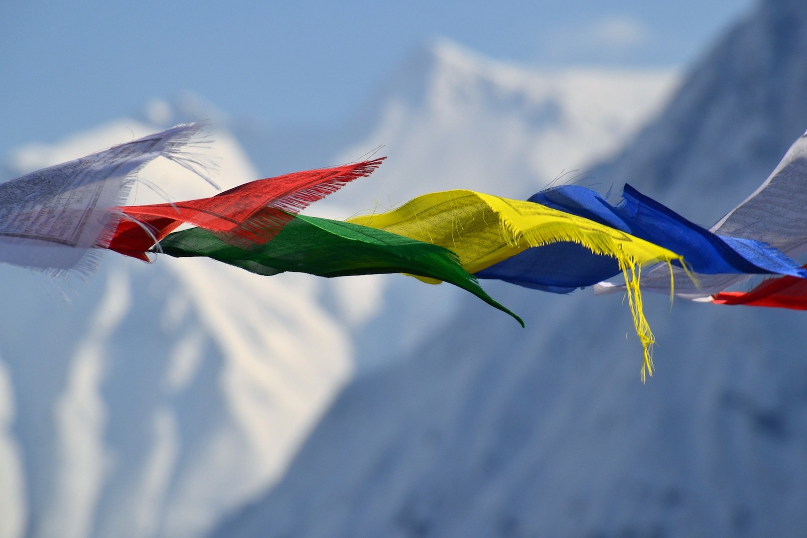 5 tibetani 5 tibetani